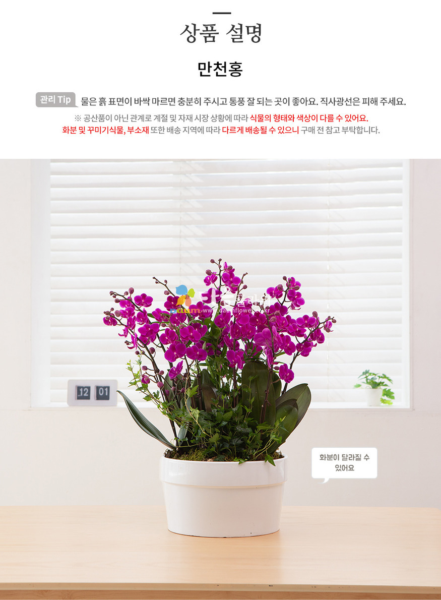상세이미지