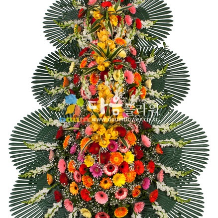 축하화환(꽃축복41호)