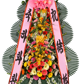 축하3단(꽃축복35호)