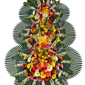 축하화환(꽃축복40호)