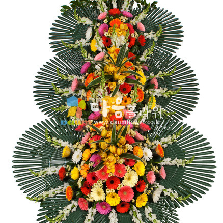 축하화환(꽃축복40호)
