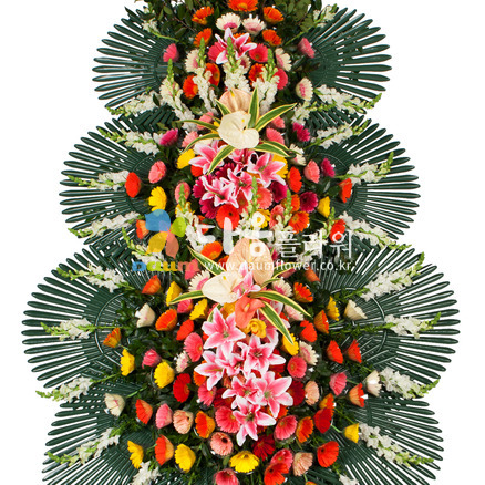 축하화환(꽃축복45호)