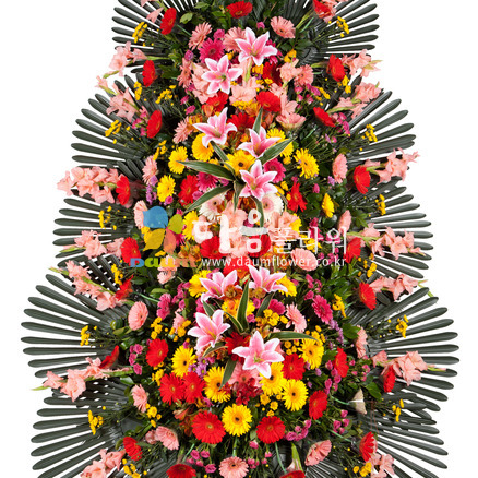 축하화환(꽃축복26호)