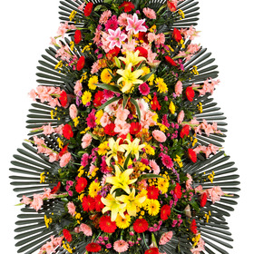 축하화환(꽃축복32호)