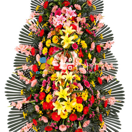 축하화환(꽃축복32호)