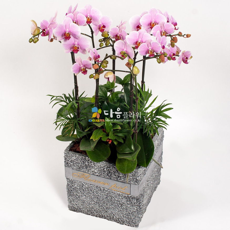 상세이미지