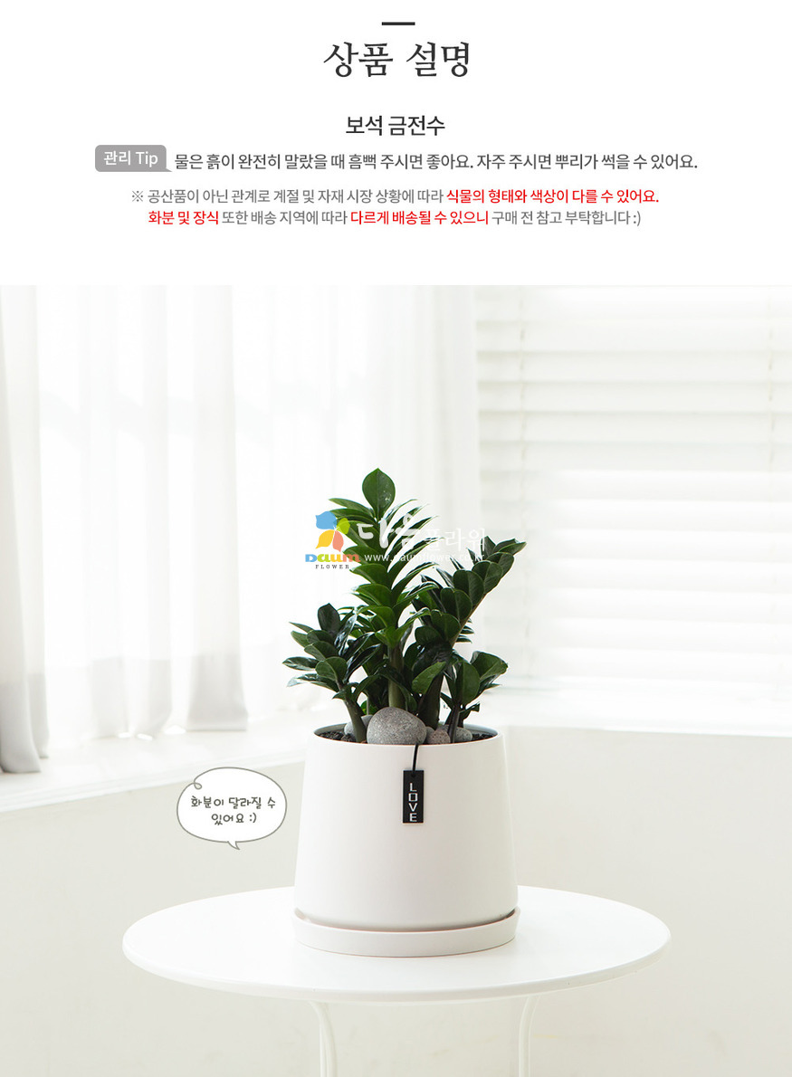 상세이미지