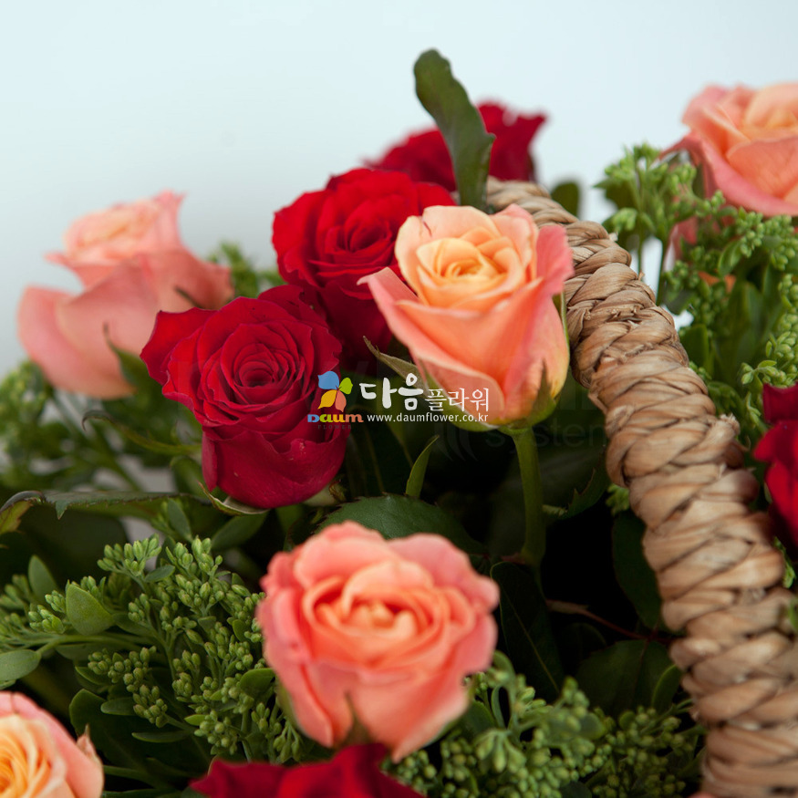상세이미지