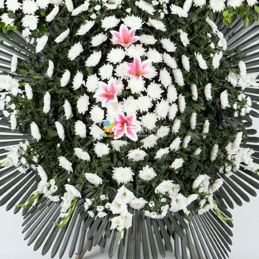 상세이미지