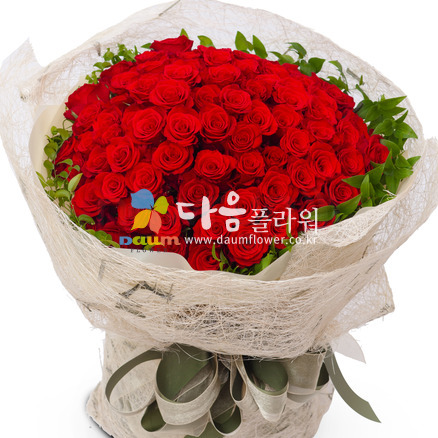 장미100송이(꽃누리103호)