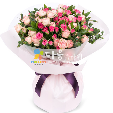 미니장미(꽃누리436호)