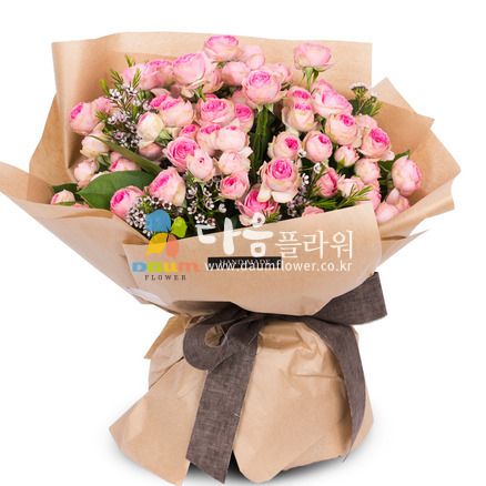 미니장미(꽃누리419호)