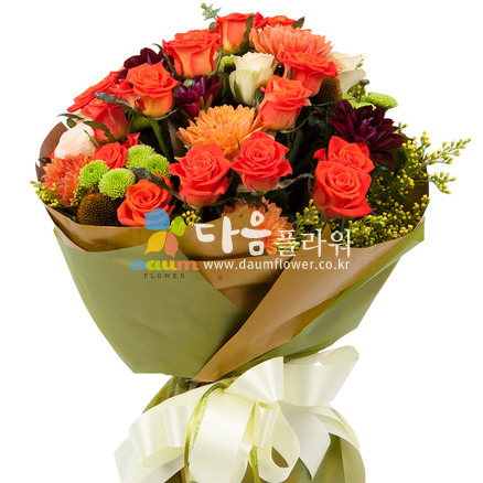 장미(꽃누리2호)