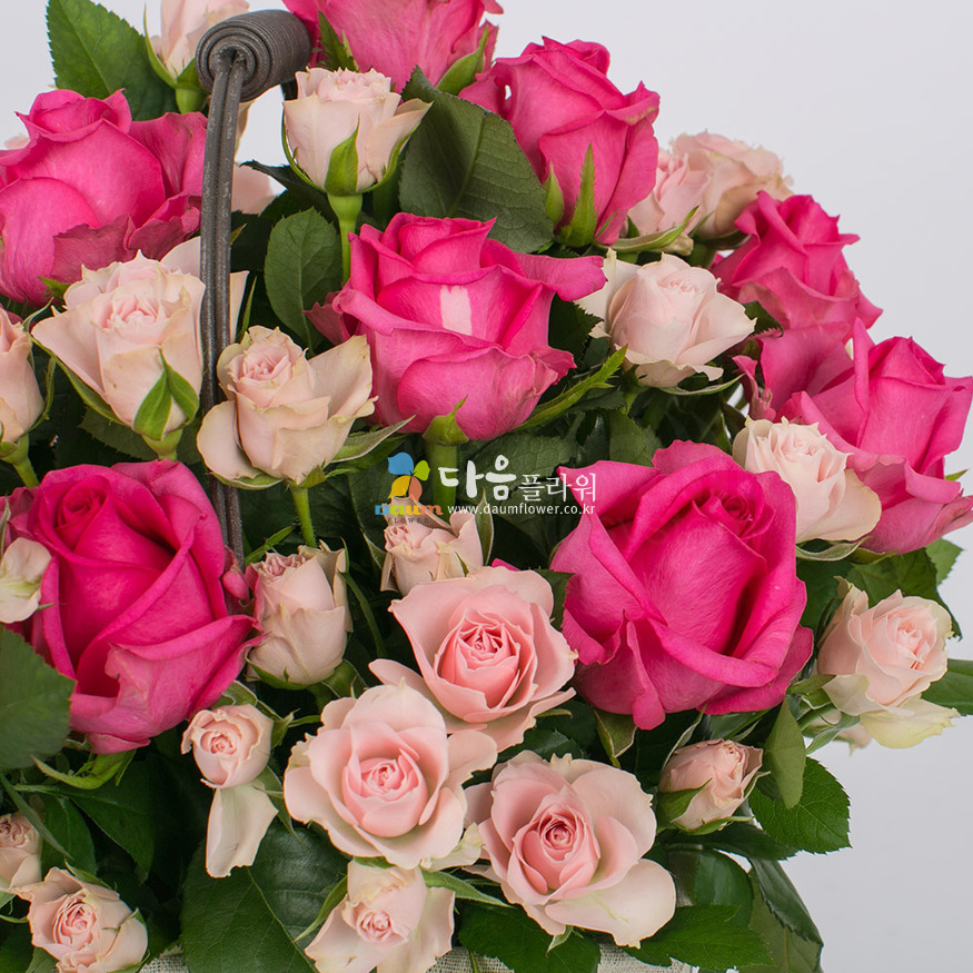 상세이미지