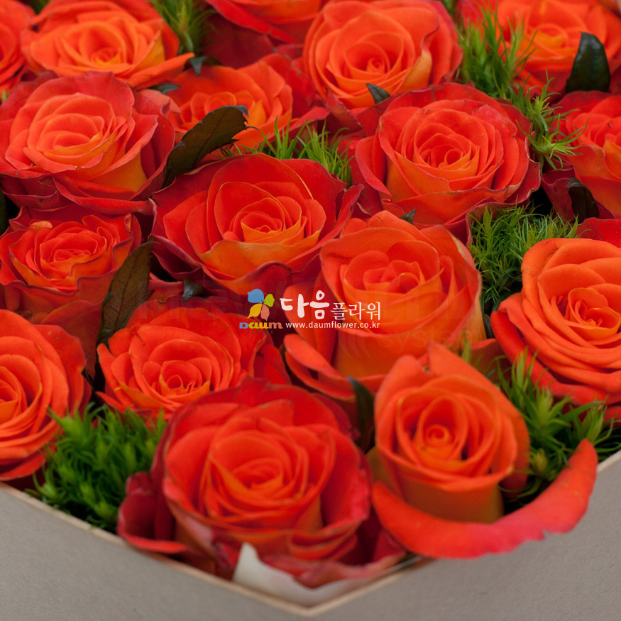 상세이미지