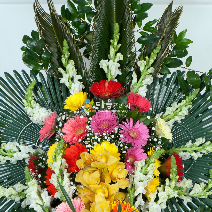 상세이미지