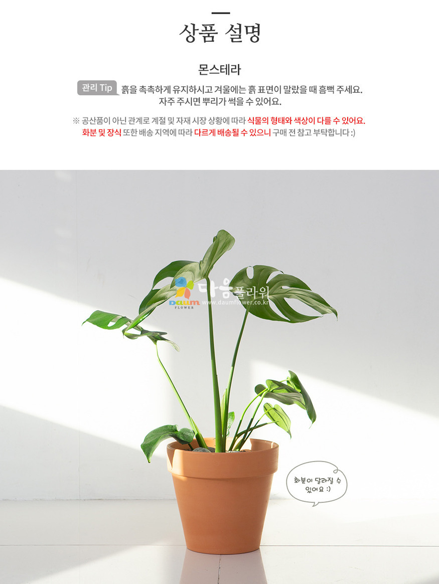 상세이미지