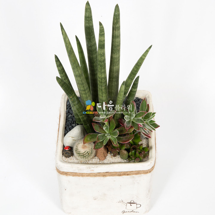 상세이미지