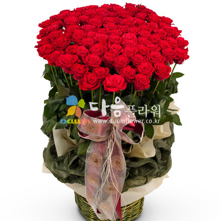 꽃행복185호