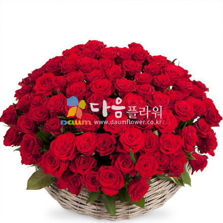 꽃행복250호