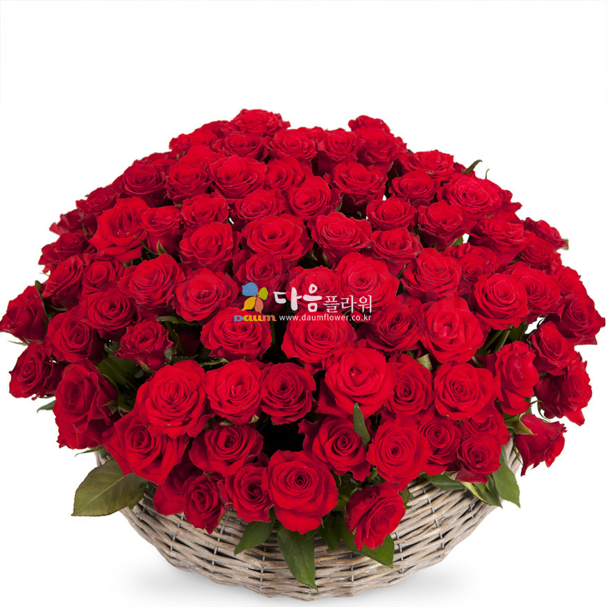 상세이미지