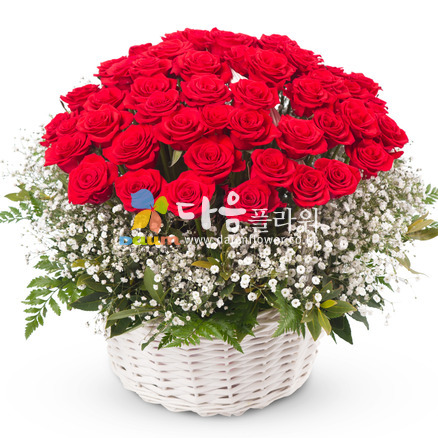 꽃바구니(꽃행복190호)