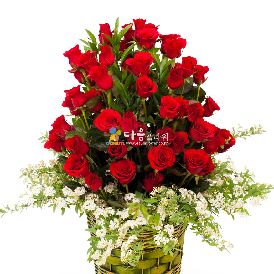 상세이미지