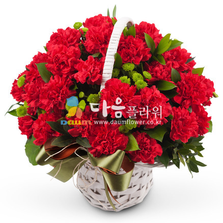 카네이션바구니(꽃행복168호)