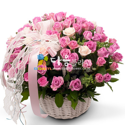 꽃행복187호