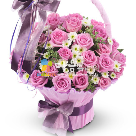 꽃행복162호