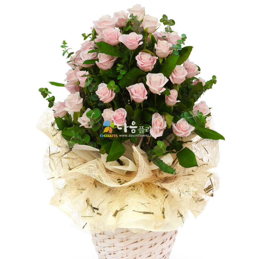 상세이미지
