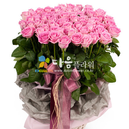 꽃행복251호