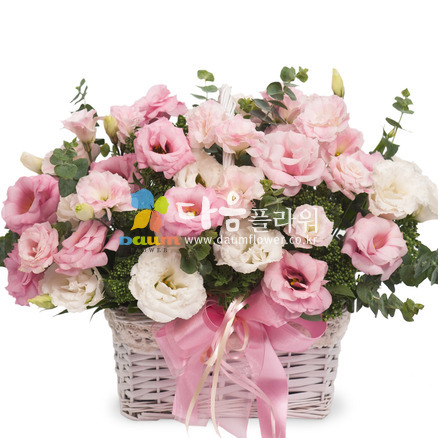꽃행복215호(니시안혼합바구니)