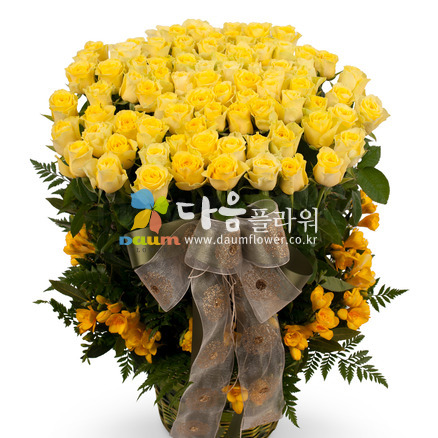 꽃행복252호