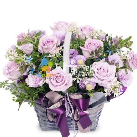 꽃행복163호