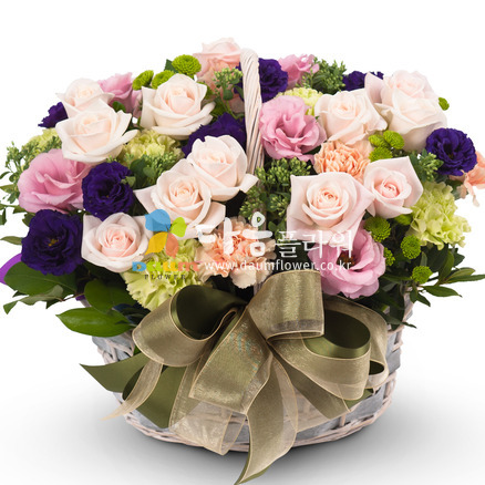 꽃행복239호