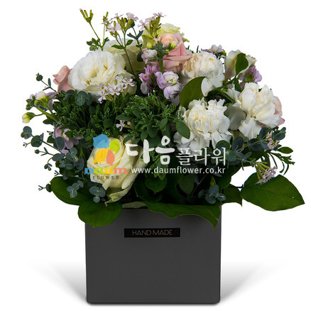 꽃행복310호