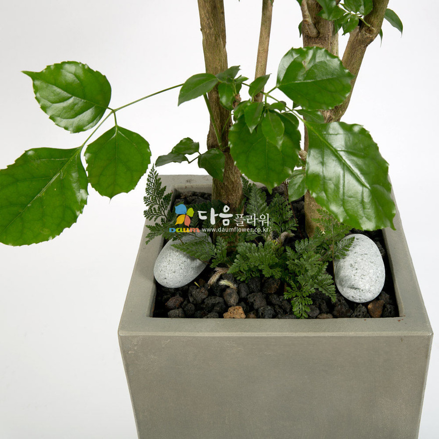 상세이미지