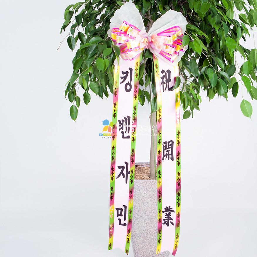 상세이미지
