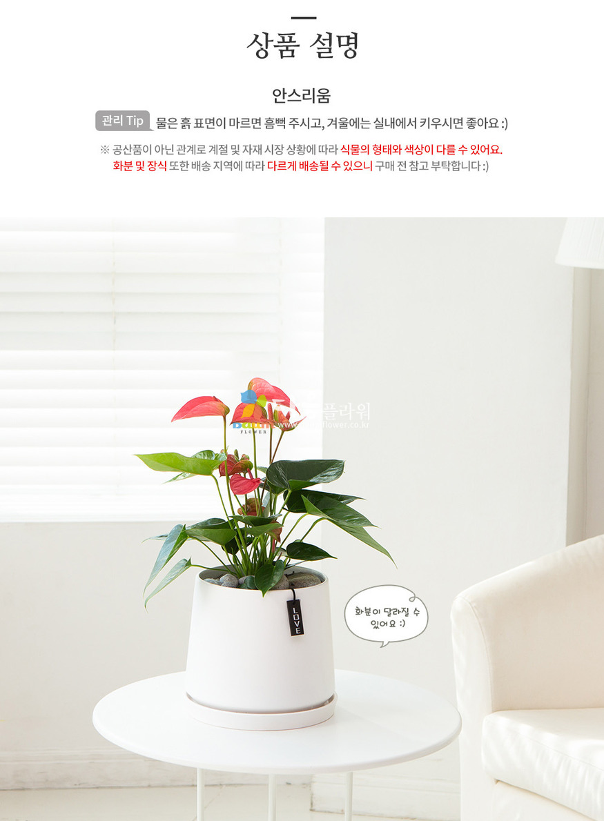 상세이미지