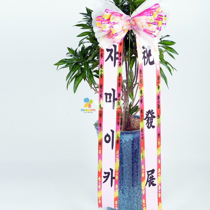 상세이미지