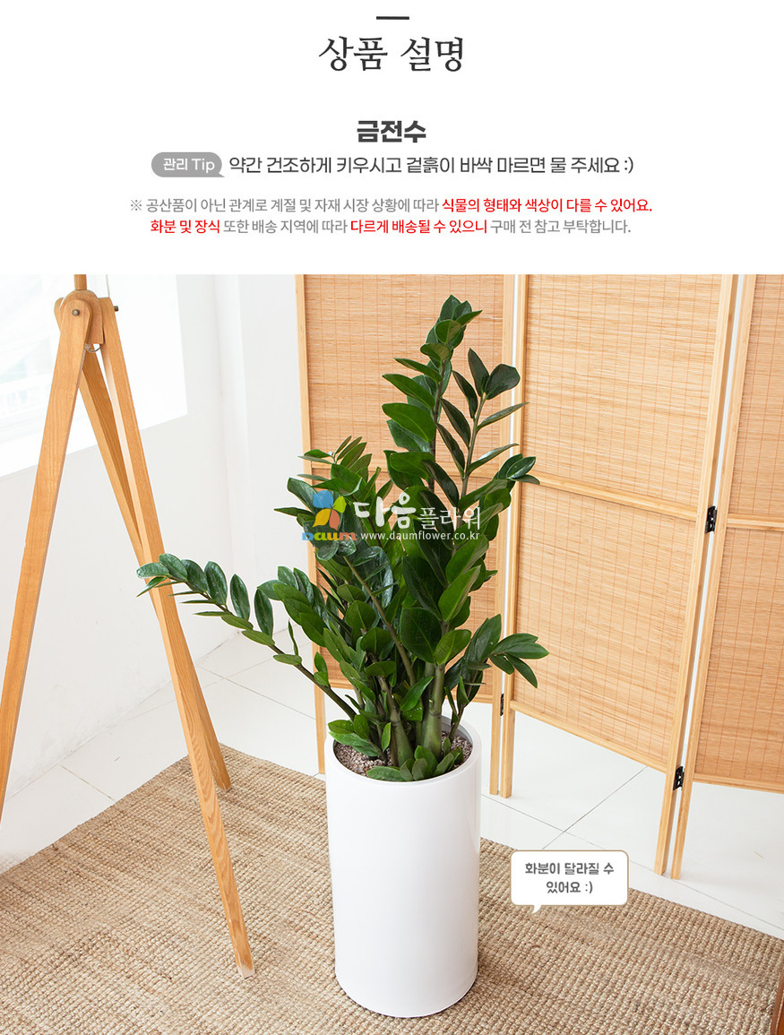 상세이미지