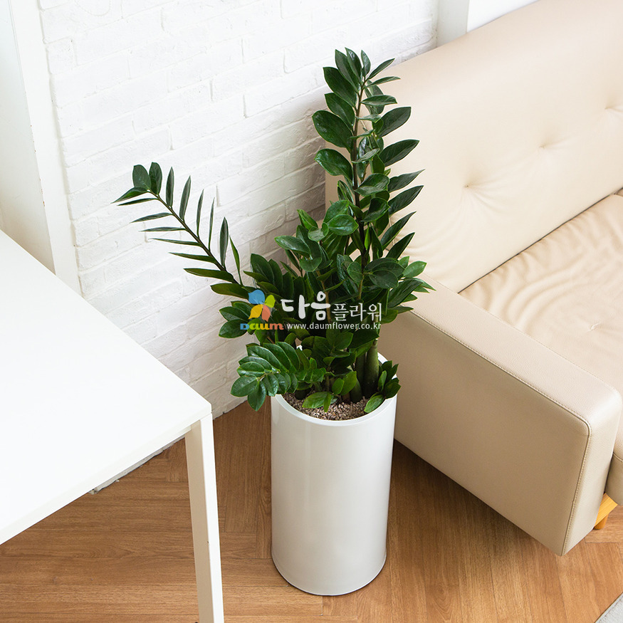 상세이미지