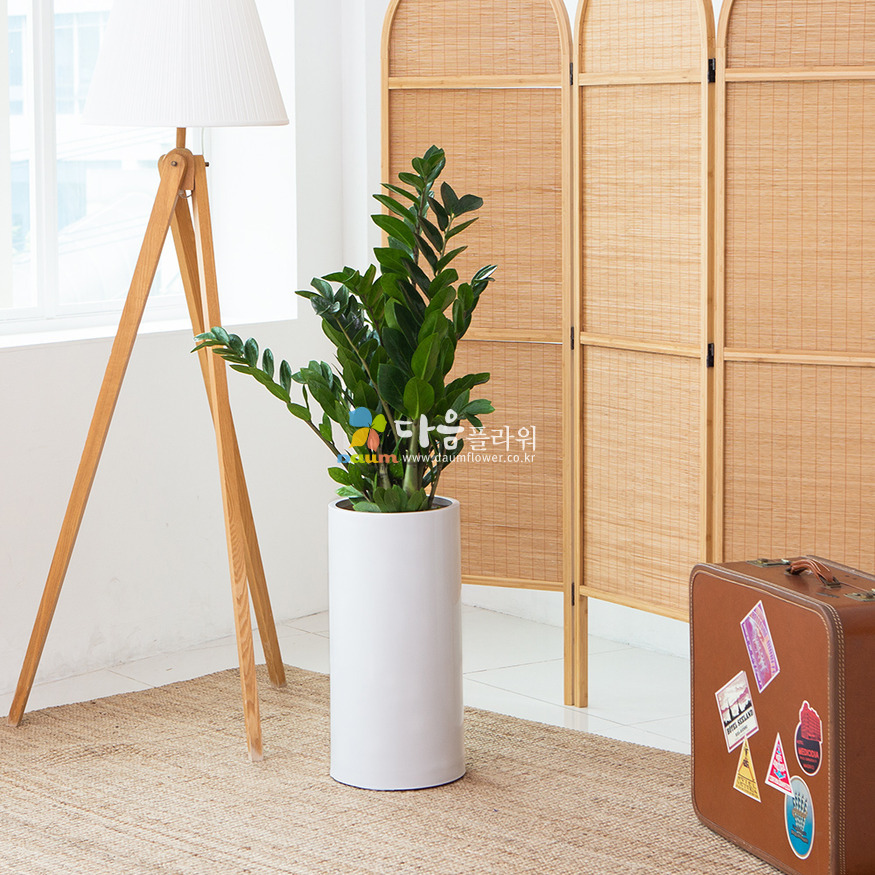상세이미지