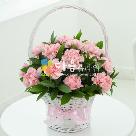 감사꽃45호