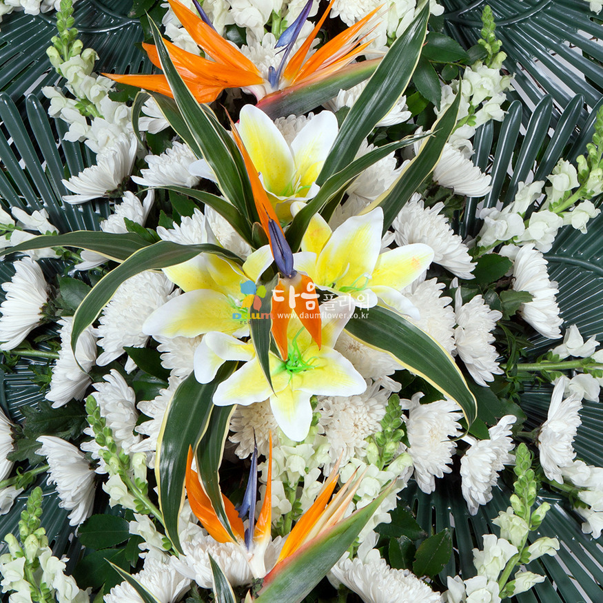 상세이미지