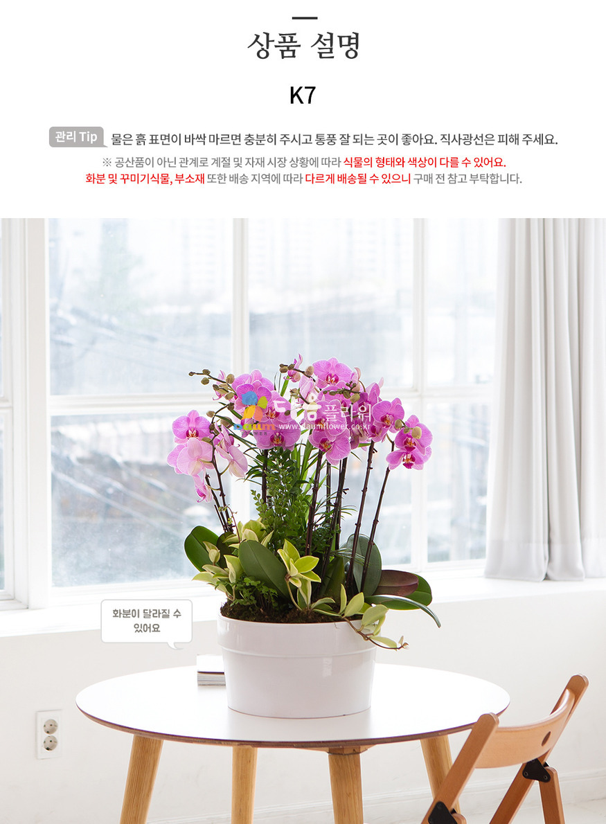 상세이미지