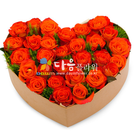 꽃기쁨53호