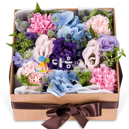 꽃기쁨56호