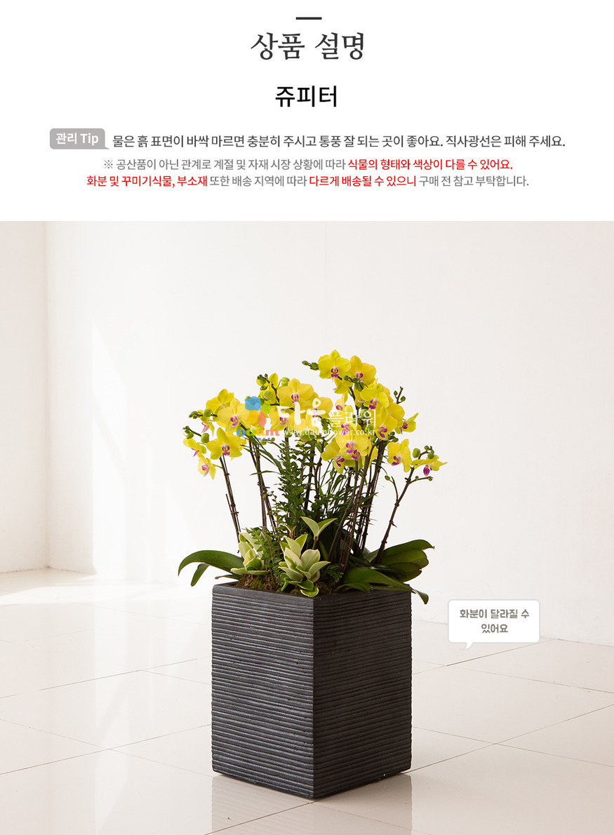 상세이미지